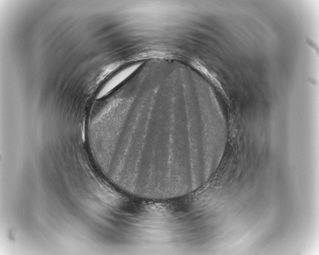 X0000093460062200711021142