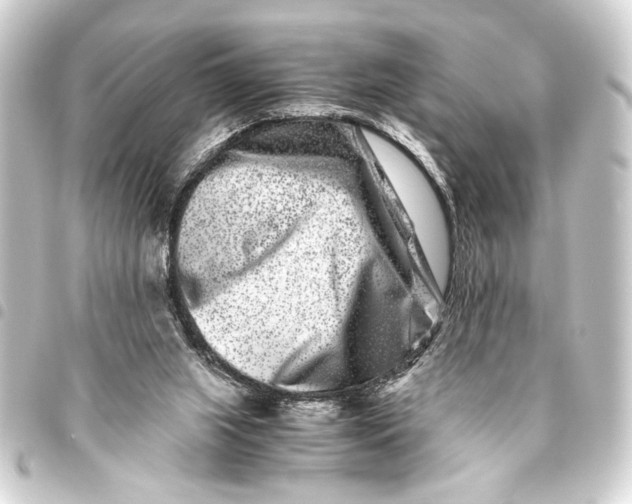 X0000093460063200711021142