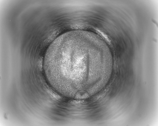 X0000093460065200711021142