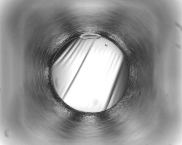 X0000093460066200711021142