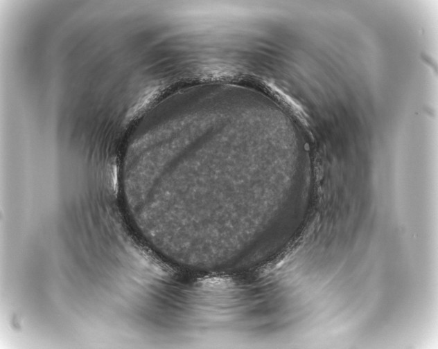 X0000093460067200711021142