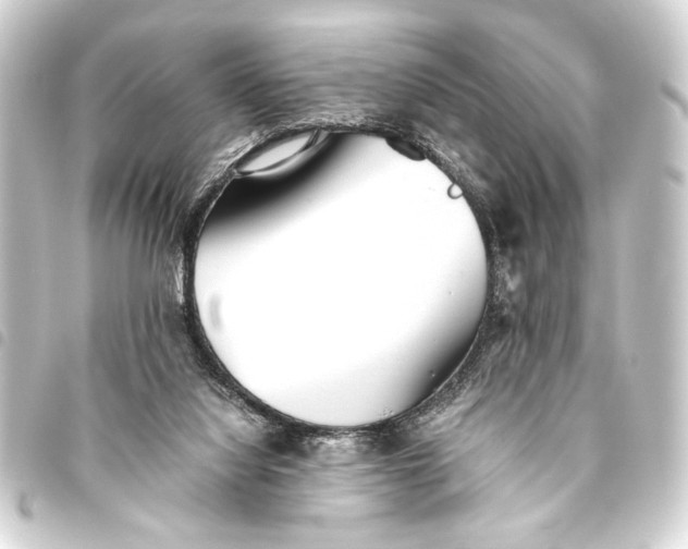 X0000093460068200711021142