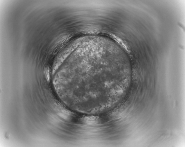 X0000093460069200711021142