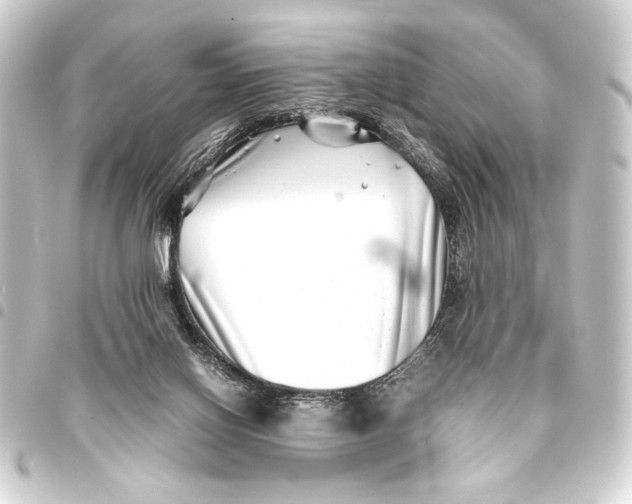 X0000093460070200711021142