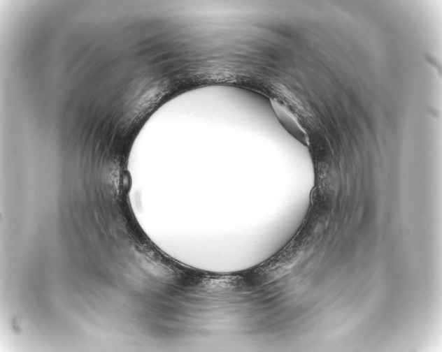 X0000093460072200711021142