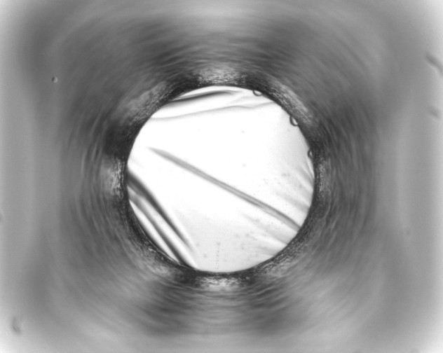 X0000093460073200711021142