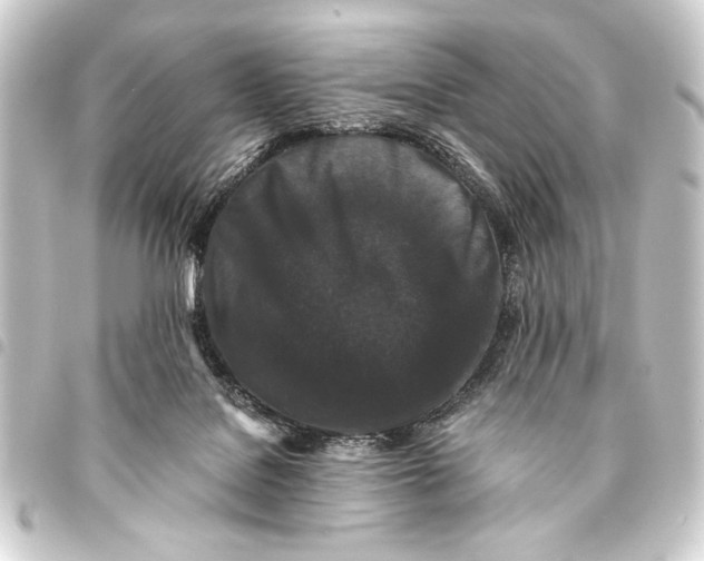 X0000093460076200711021142