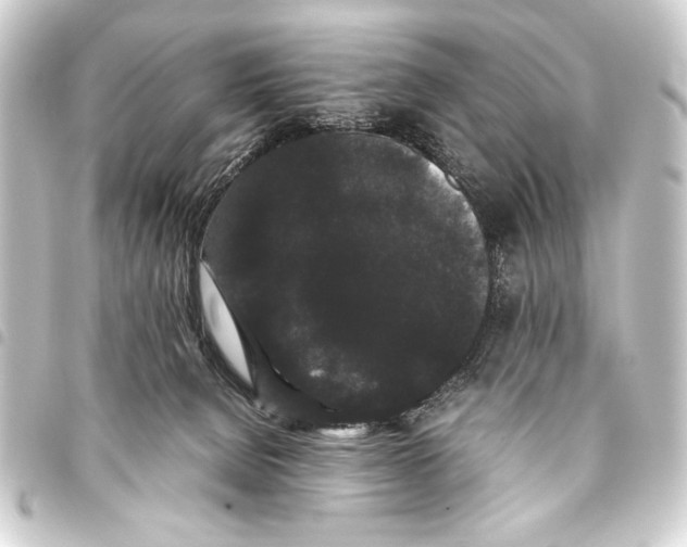 X0000093460080200711021143