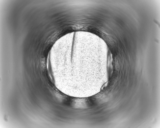 X0000093460085200711021143