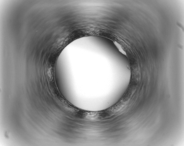 X0000093460088200711021143