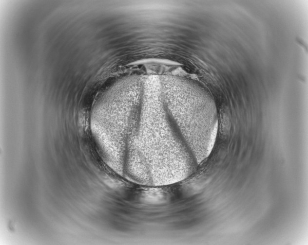 X0000093460091200711021143