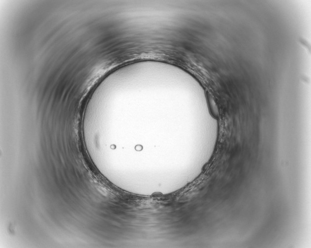 X0000093460098200711021142