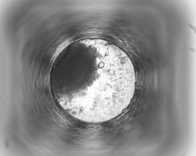 X0000093460099200711021142