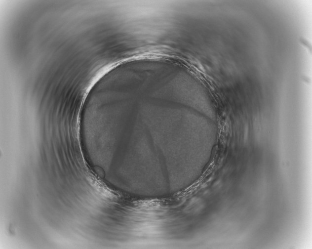 X0000093460100200711021142