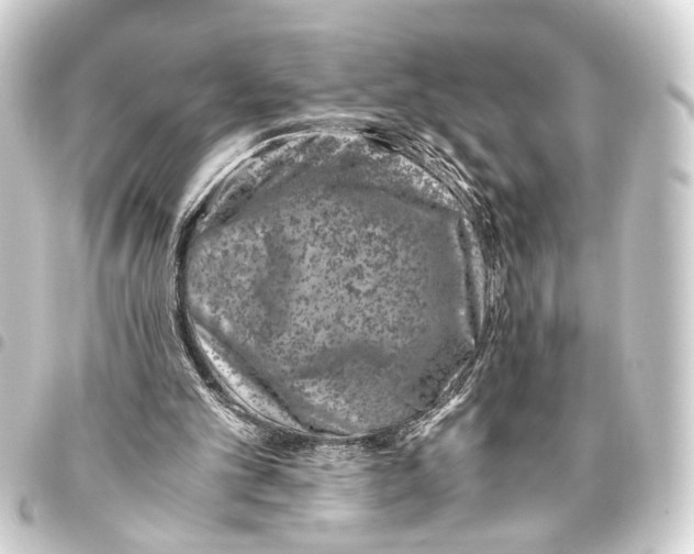 X0000093460101200711021142