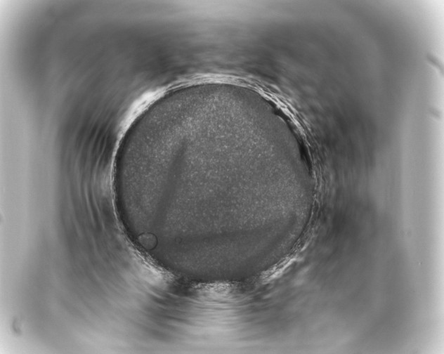 X0000093460104200711021142