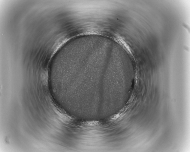 X0000093460108200711021142