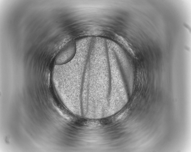 X0000093460110200711021142