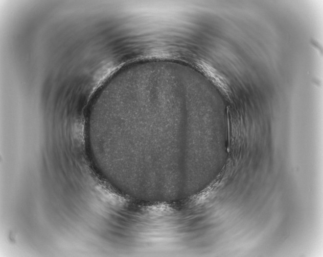 X0000093460112200711021142