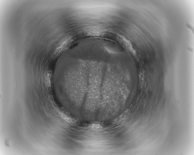 X0000093460114200711021142