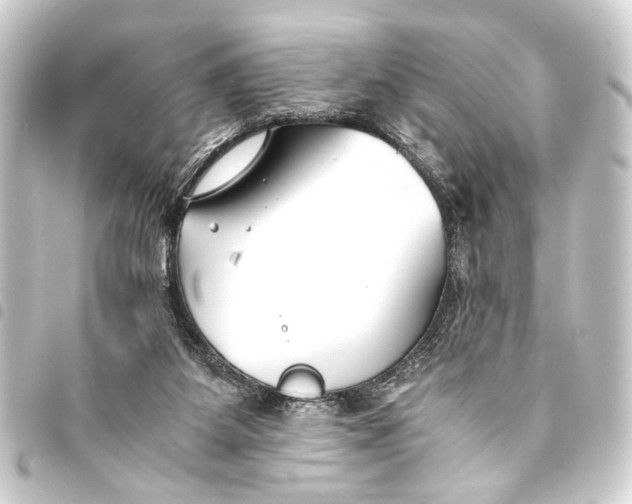 X0000093460115200711021142