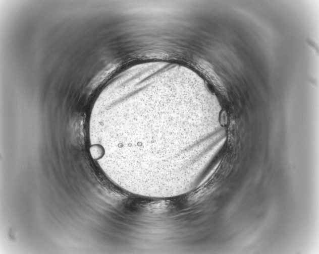 X0000093460116200711021142