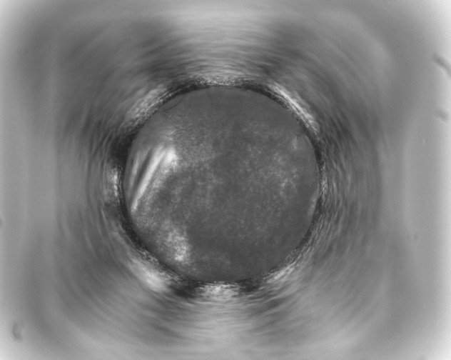 X0000093460117200711021142