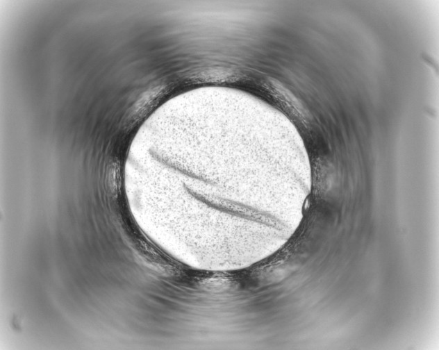 X0000093460119200711021142