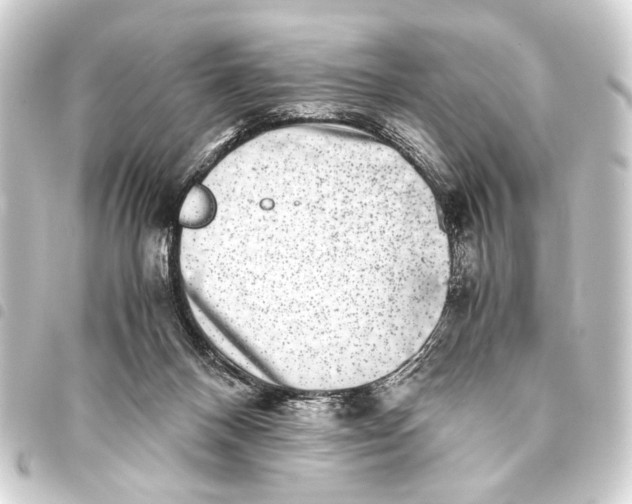 X0000093460120200711021142