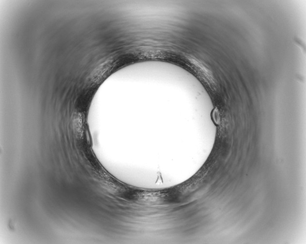 X0000093460121200711021142