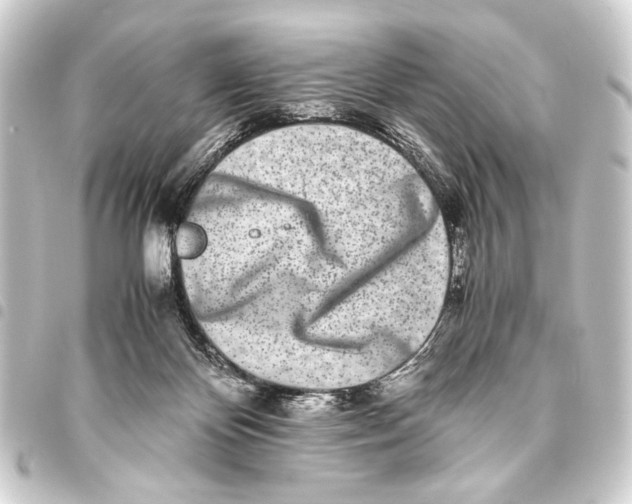 X0000093460124200711021142