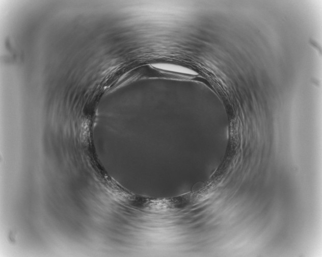 X0000093460127200711021142