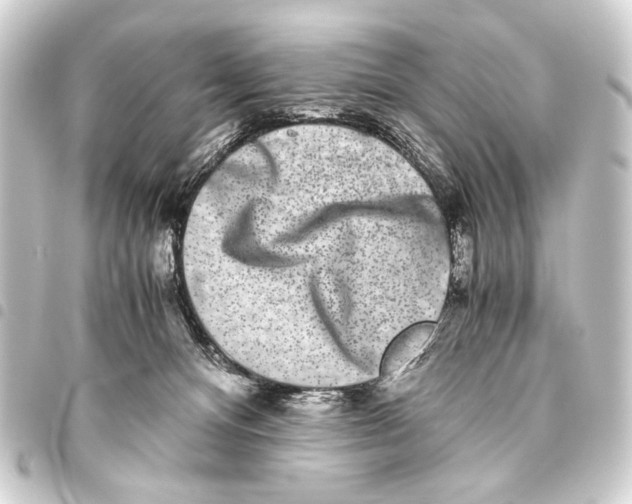 X0000093460128200711021142