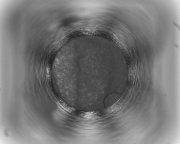 X0000093460130200711021142