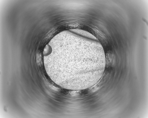 X0000093460136200711021142