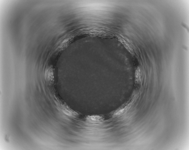 X0000093460137200711021142