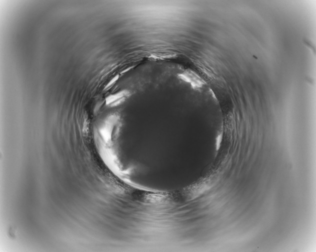 X0000093460139200711021142