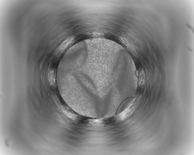 X0000093460140200711021142