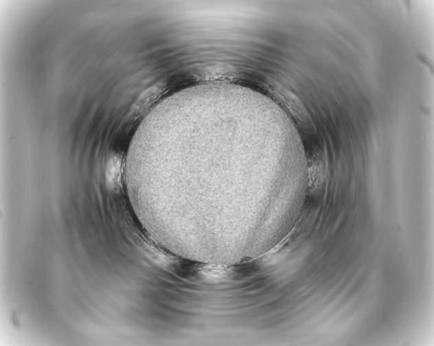 X0000093460142200711021142