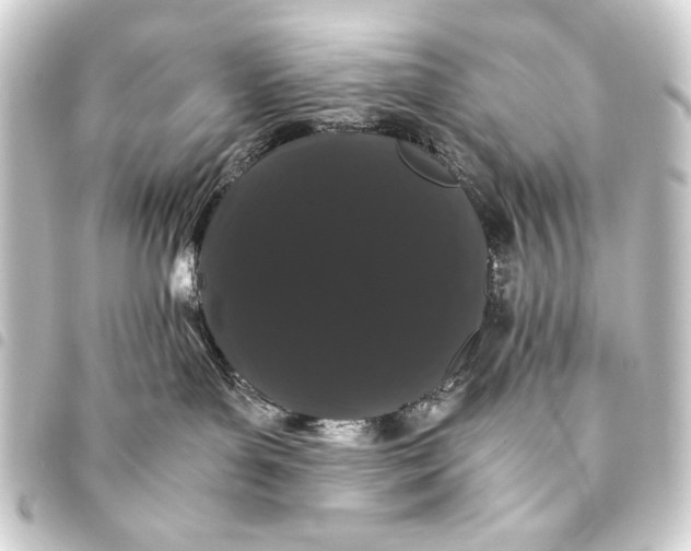 X0000093460143200711021142