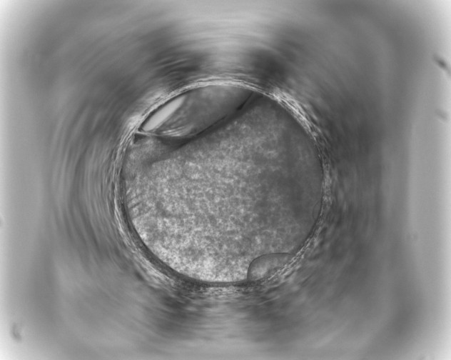 X0000093460145200711021141