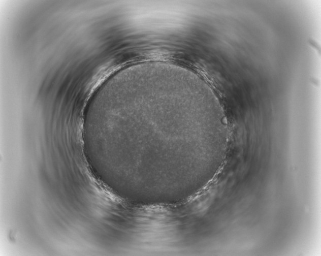 X0000093460146200711021141