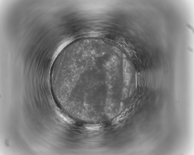 X0000093460147200711021141