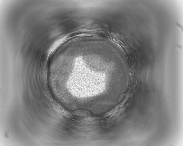 X0000093460149200711021141