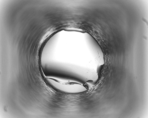 X0000093460150200711021141