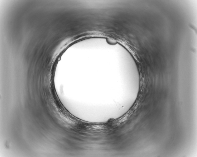 X0000093460151200711021141