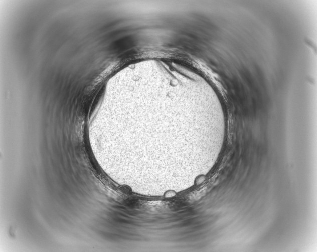 X0000093460153200711021141