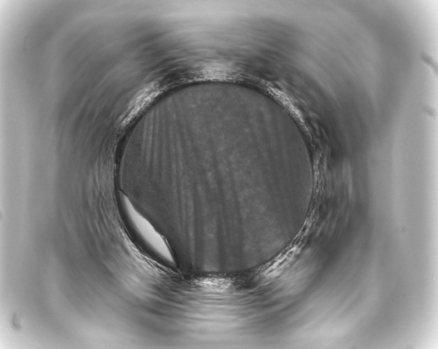 X0000093460154200711021141