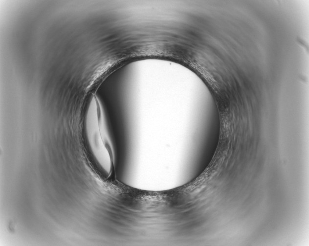 X0000093460160200711021141