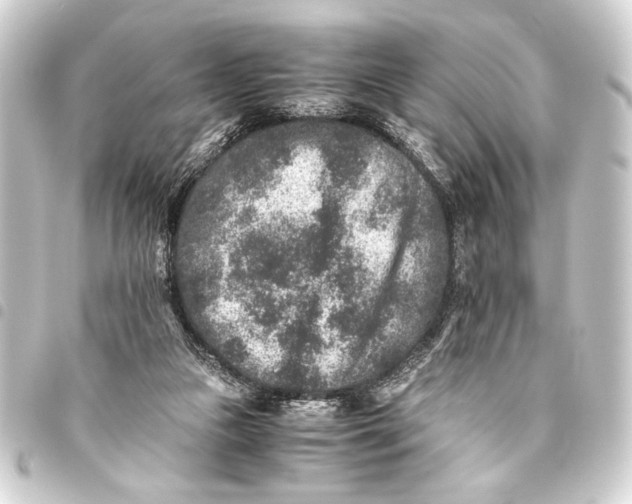 X0000093460161200711021141